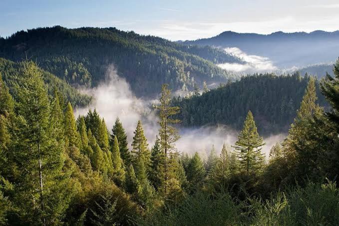 The Nature Dreams I Vacations I Conference I Mice I Family Events I Open Air Terrace I Sky Bonfire I Kufri By Exotic Stays Shimla Dış mekan fotoğraf