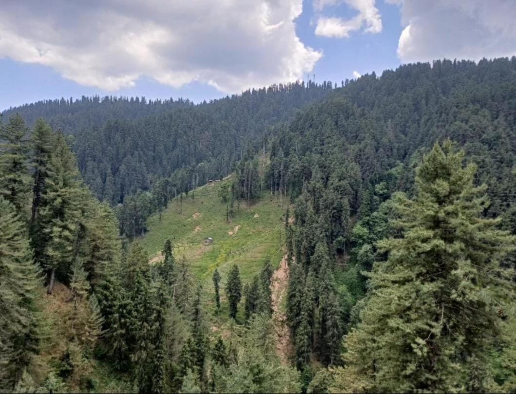 The Nature Dreams I Vacations I Conference I Mice I Family Events I Open Air Terrace I Sky Bonfire I Kufri By Exotic Stays Shimla Dış mekan fotoğraf