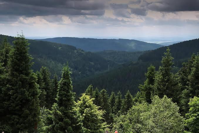 The Nature Dreams I Vacations I Conference I Mice I Family Events I Open Air Terrace I Sky Bonfire I Kufri By Exotic Stays Shimla Dış mekan fotoğraf