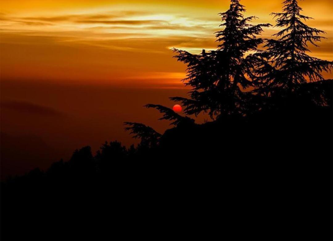 The Nature Dreams I Vacations I Conference I Mice I Family Events I Open Air Terrace I Sky Bonfire I Kufri By Exotic Stays Shimla Dış mekan fotoğraf