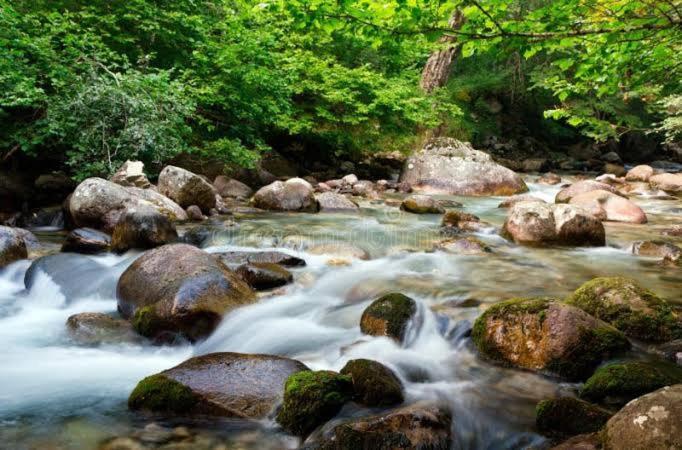 The Nature Dreams I Vacations I Conference I Mice I Family Events I Open Air Terrace I Sky Bonfire I Kufri By Exotic Stays Shimla Dış mekan fotoğraf